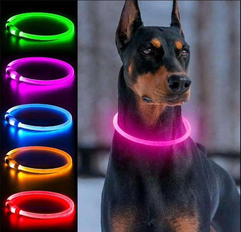 Paw-Fect Supplies Rechargeable LED Collar, Glowing Pet Collar for Night Safety, and Fashion for Small Medium Large Dogs (Pink)