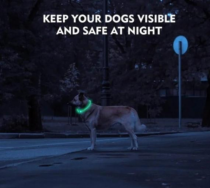 Paw-Fect Supplies Rechargeable LED Collar, Glowing Pet Collar for Night Safety, and Fashion for Small Medium Large Dogs (Pink)
