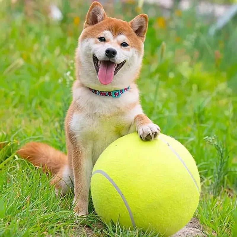 Tennis Ball Design Dog Toy, Pet Interactive Tennis Ball Toy, Pet Training Ball Toy, outside Pet Interactive Ball Toy for Dogs & Cats, Outdoor Toy