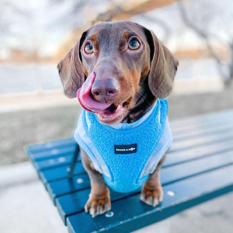 Adjustable Teddy Fabric Dog Harness - Electric Blue