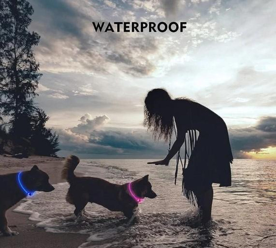 Paw-Fect Supplies Rechargeable LED Collar, Glowing Pet Collar for Night Safety, and Fashion for Small Medium Large Dogs (Pink)