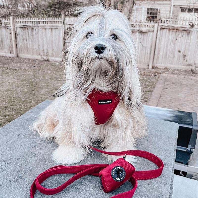 Adjustable Corduroy Dog Harness - Berry