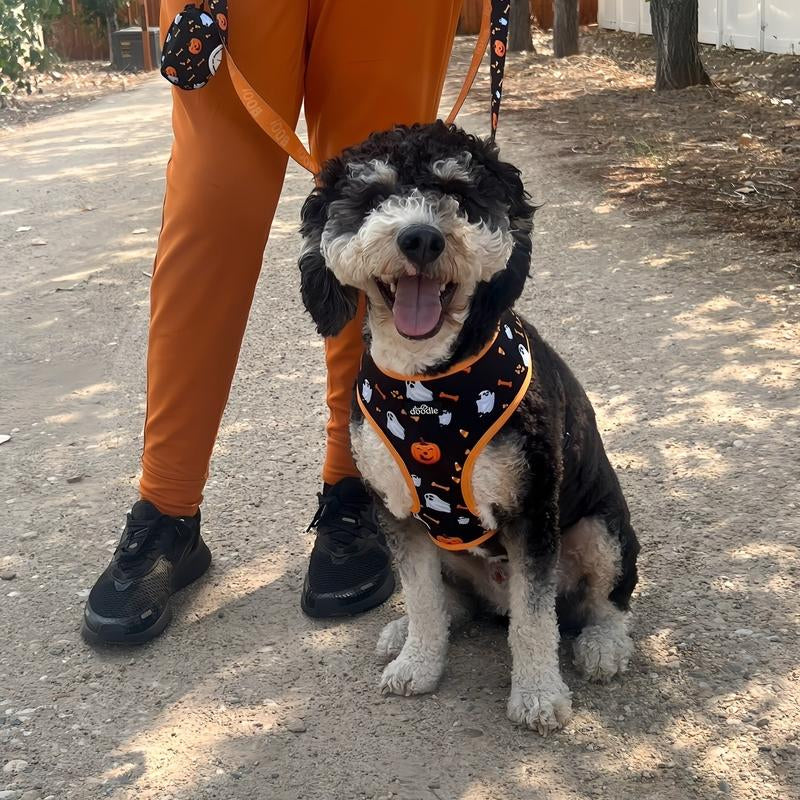 HOWL-O-WEEN HARNESS
