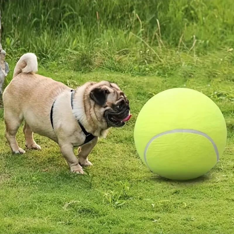Tennis Ball Design Dog Toy, Pet Interactive Tennis Ball Toy, Pet Training Ball Toy, outside Pet Interactive Ball Toy for Dogs & Cats, Outdoor Toy