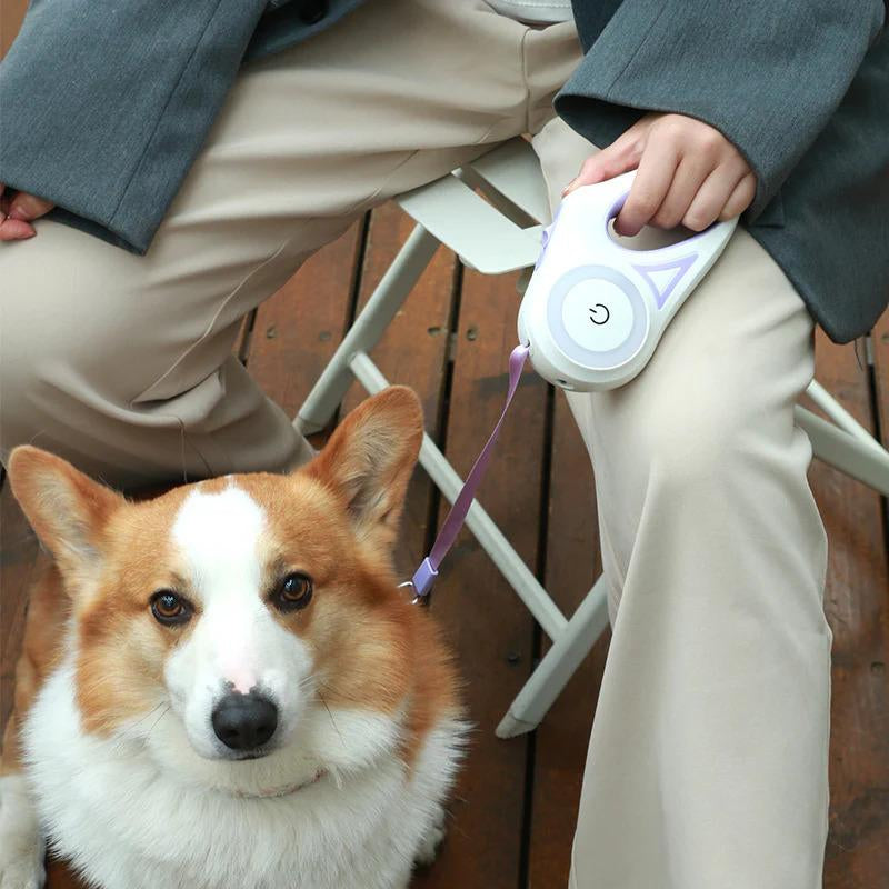 LED Leash for Dogs and Cats - Perfect for Walking Your Furry Friend